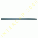 DOOR STRIP FRONT RIGHT 2 DOORS PRIMED PEUGEOT 206 98- 